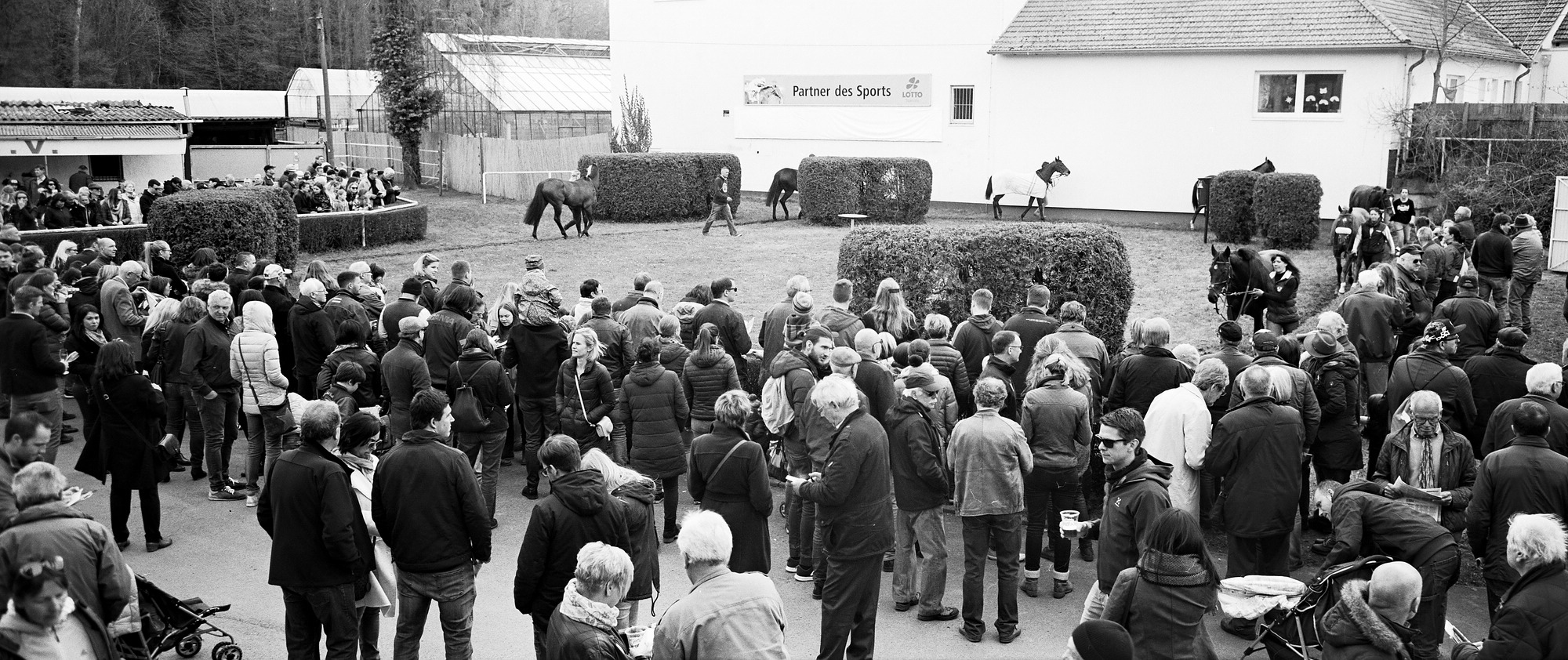 2018 04 02 Holga Pan 6x12 08a (11) vkl